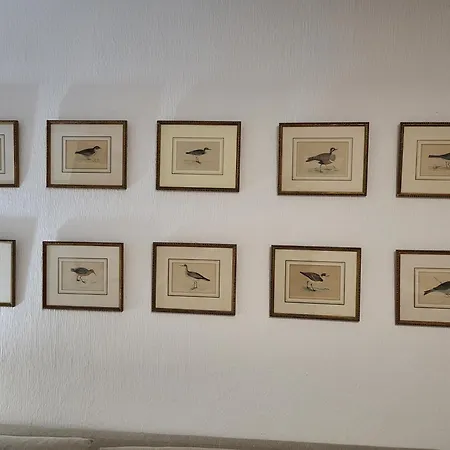 La Consulta De Paloma, Plaza Encanto Historico