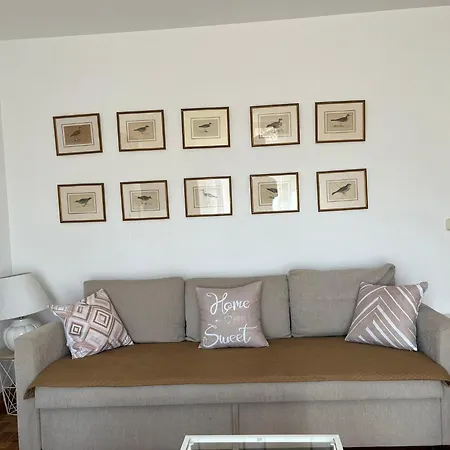 La Consulta De Paloma, Plaza Encanto Historico