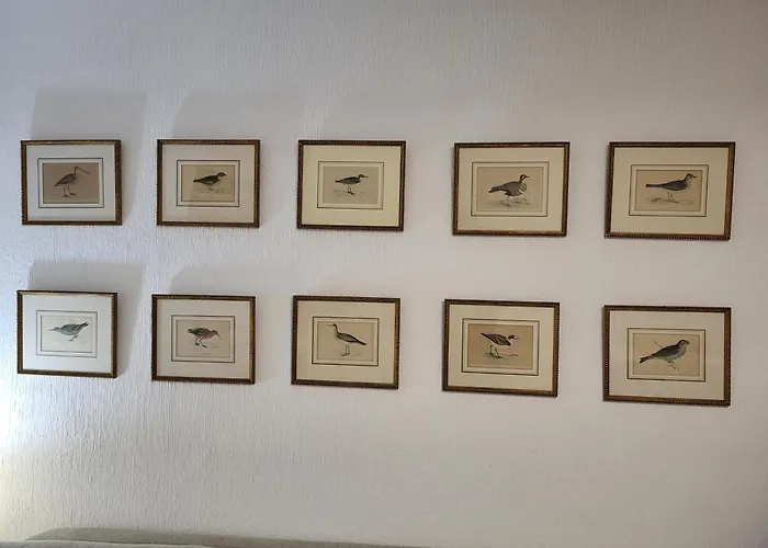 La Consulta De Paloma, Plaza Encanto Historico